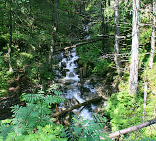  Weg- Meeresauge Zakopane. 