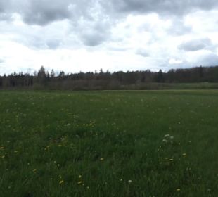 Premiumwanderweg Hochgebürzelt