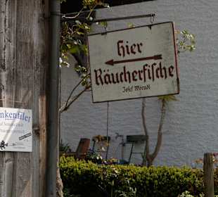 Frische Fischbrötchen überall