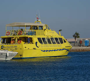 Boot zur Delfinsichtung