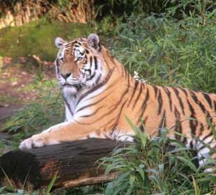 Allwetterzoo Münster
