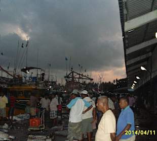 Um 5:50 Uhr auf dem Fischmarkt.