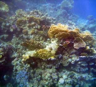 Wir kommen wieder, aber nur noch im Winter