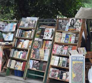 Jährlicher Büchermarkt