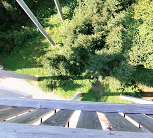 Wald Wipfel Weg mit Erlebnispfad in Sankt Englmar