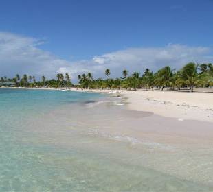 Saona