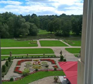 Blick vom Krankenzimmer auf Park