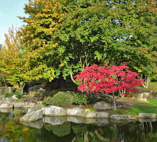 Im Japanischen Garten von "Planten un Blomen"