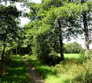 Unterwegs auf dem Huntepadd