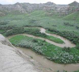 Canyon des Red Deer Rivers, Dinosaur Park