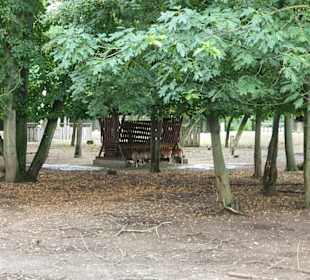 Wildpark Mainz-Gonsenheim