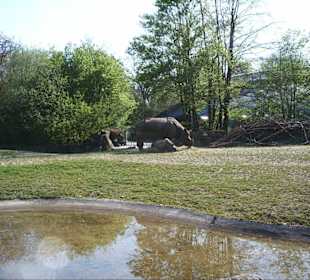 Tierpark Hellabrunn