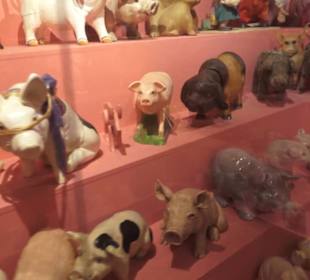 SchweineMuseum