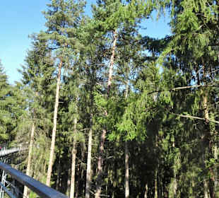 Auf dem Baumwipfelpfad Heide Himmel