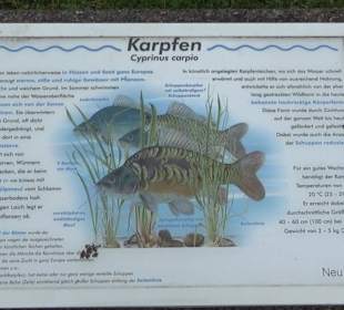 Fischlehrpfad Neu-Ulm