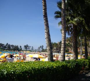 Strand von Anfi del Mar