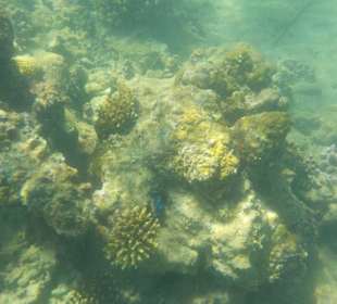 Schnorcheln Hurghada