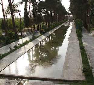 Widok na ogrodową sadzawkę