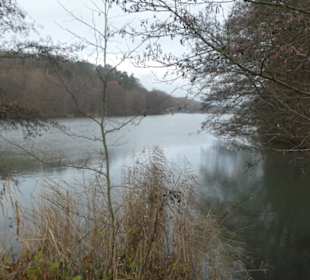 Nov. 2021: Am Vorsee (vor dem Ellertshäuser See)