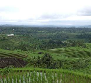 Impressionen aus Bali