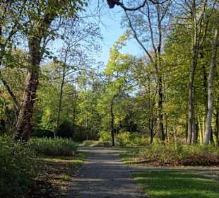Spaziergang durch den Kurpark Wilhelmshaven
