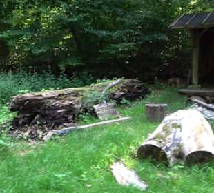 Waldlehrpfad St. Johann