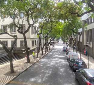 Madeira CitySightseeing Portugal