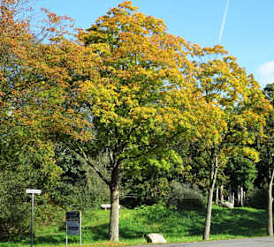 Der Gesundheitspark Speckenbüttel im Herbst