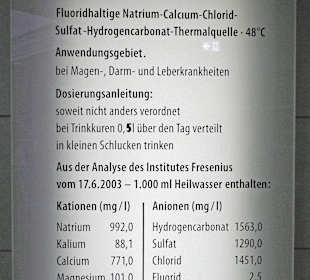 Analyse der Wilhelmsquelle