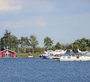 Eindrücke vom Spaziergang am Wieltsee