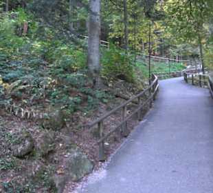 Triberger Wasserfälle