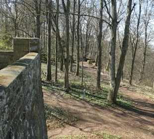Schlosspark: Aussichtskanzel und Alpinarium