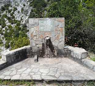 Der Brunnen