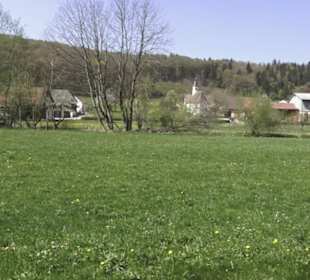 Waldlehrpfad an der Lauter