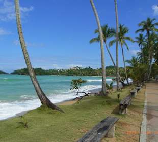 Halbinsel Samana Tour