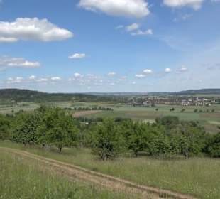 Früchtetrauf - Wurmlinger Kapellenwegle