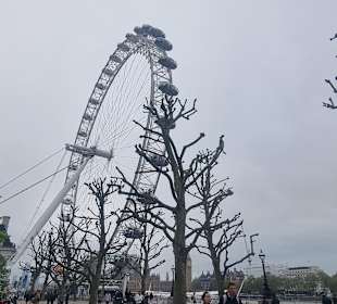 Zwischen Bäumen am Fluss