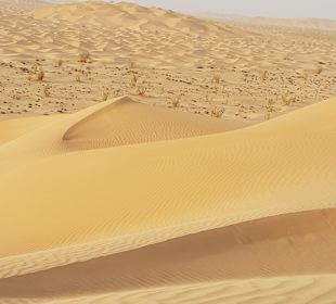 Wüstentour Salalah