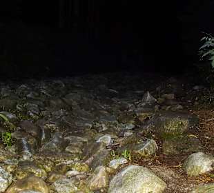 One of the mountain roads at night.