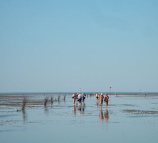 Wattwanderer bei Niedrigwasser