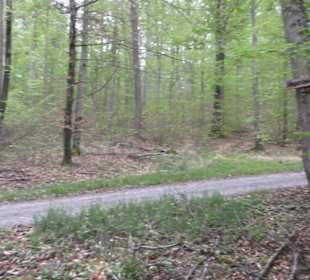 Wanderweg Firstwaldrunde