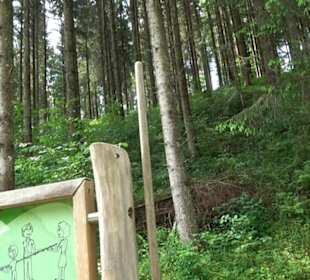 Phäno-Pfad Aichstetten