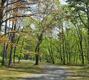 Eindrücke aus dem Prinz-Albrecht-Park
