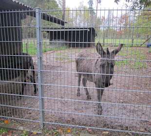 Tier- und Wildgehege