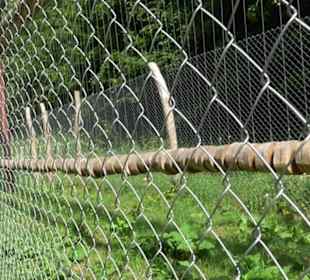 Phäno-Pfad Aichstetten