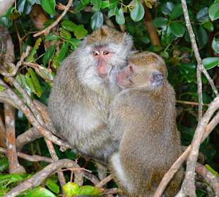 Casela Nature & Leisure Park