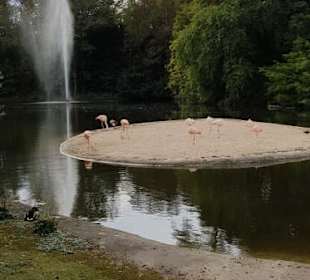 Höhenpark Killesberg-5