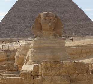 Sphinx von Gizeh