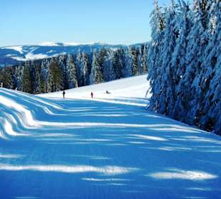 Feldberg- Rodelbahn...