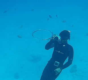 Delfin Tour 2015 Joseph & Marlen